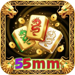55mm